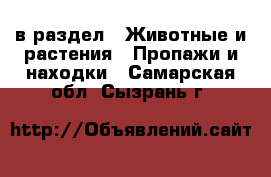  в раздел : Животные и растения » Пропажи и находки . Самарская обл.,Сызрань г.